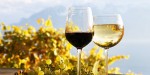 arr_weinfest_slide